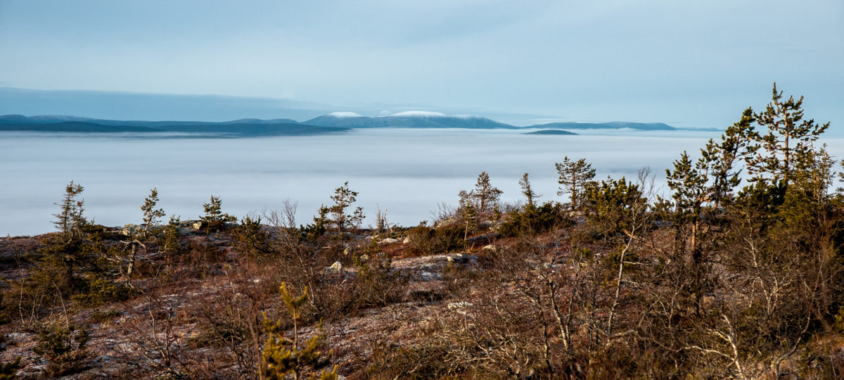 nordic nature north