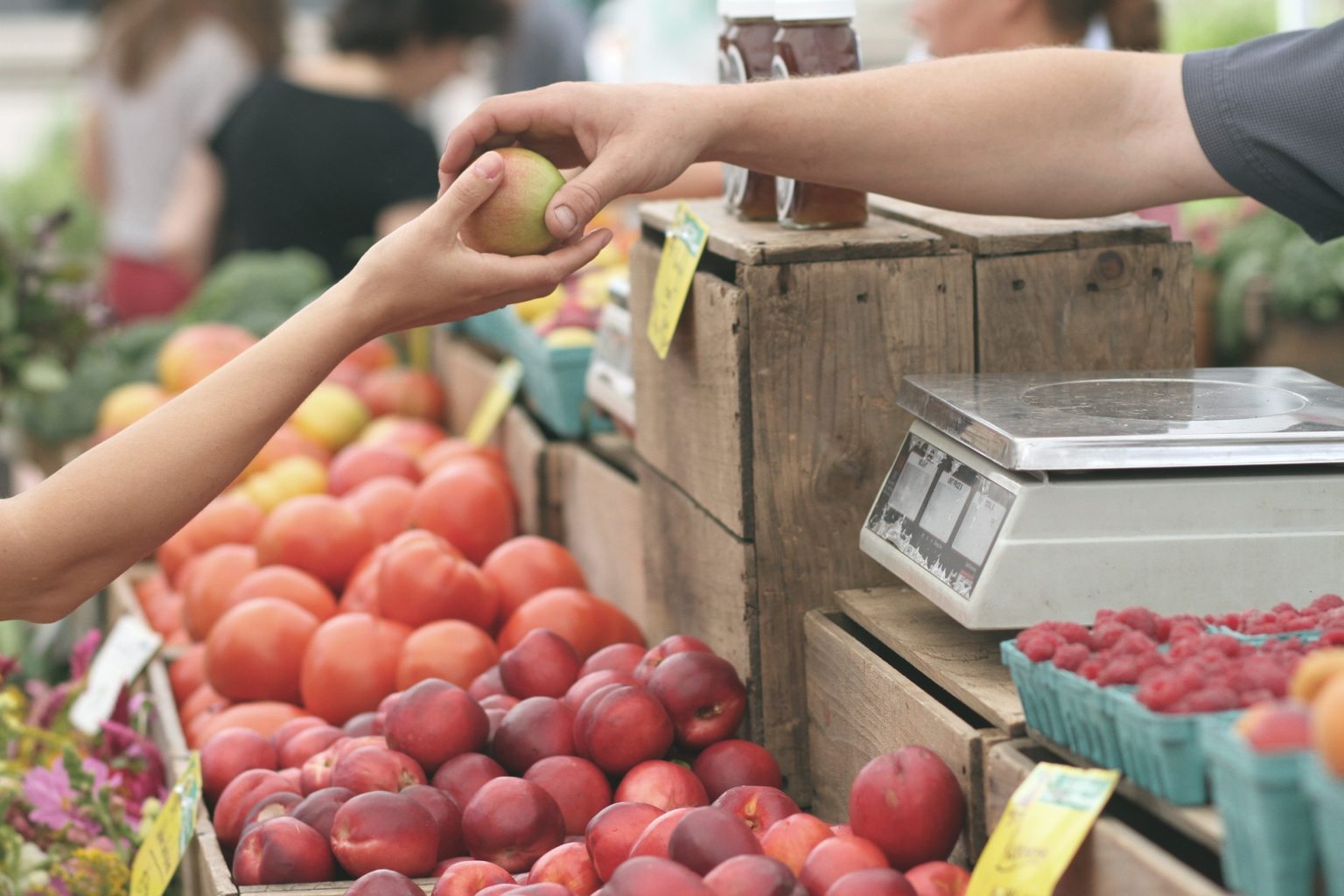 apples fruit sell buy